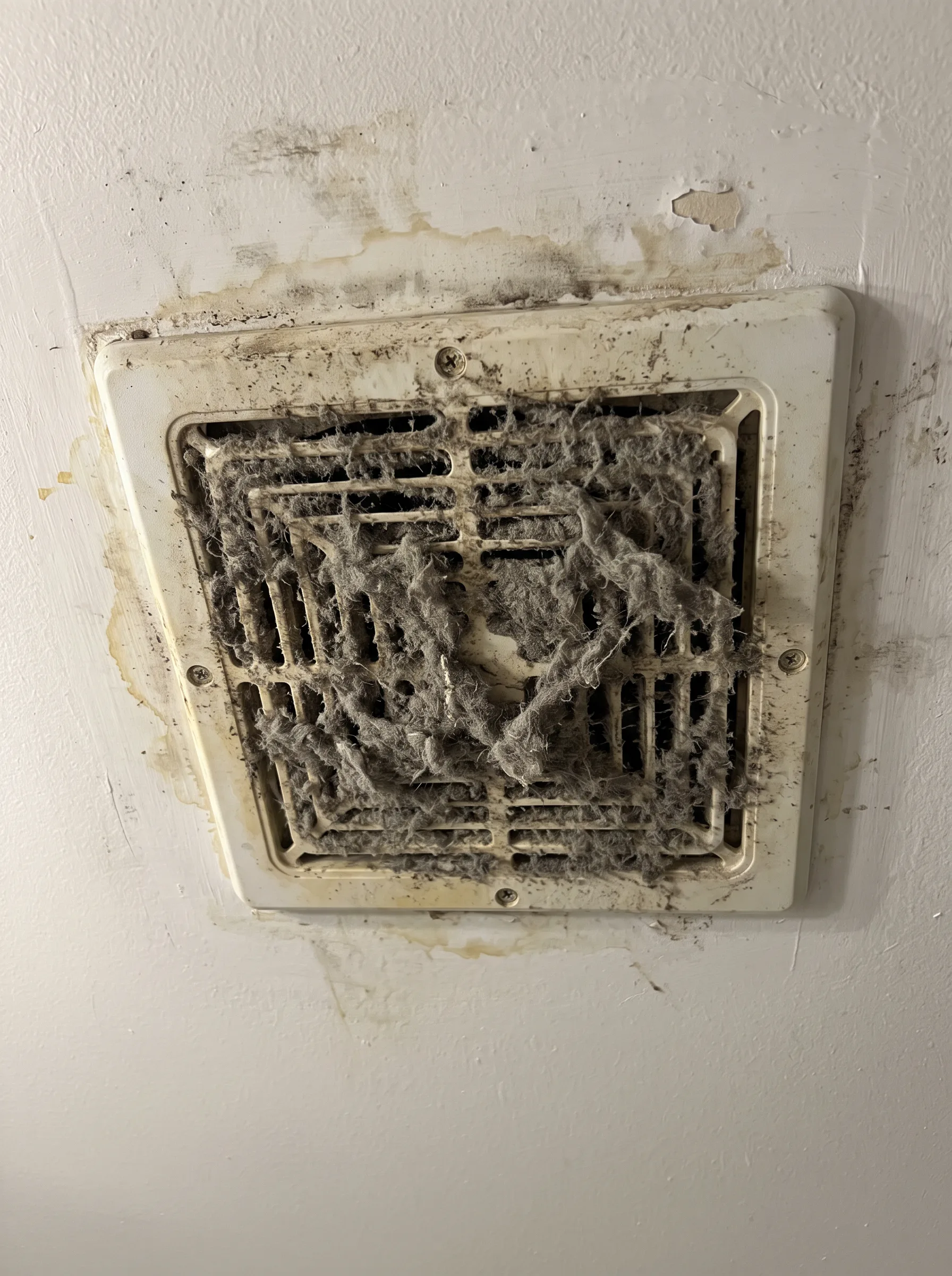 Air duct cleaning result #14 — before cleaning