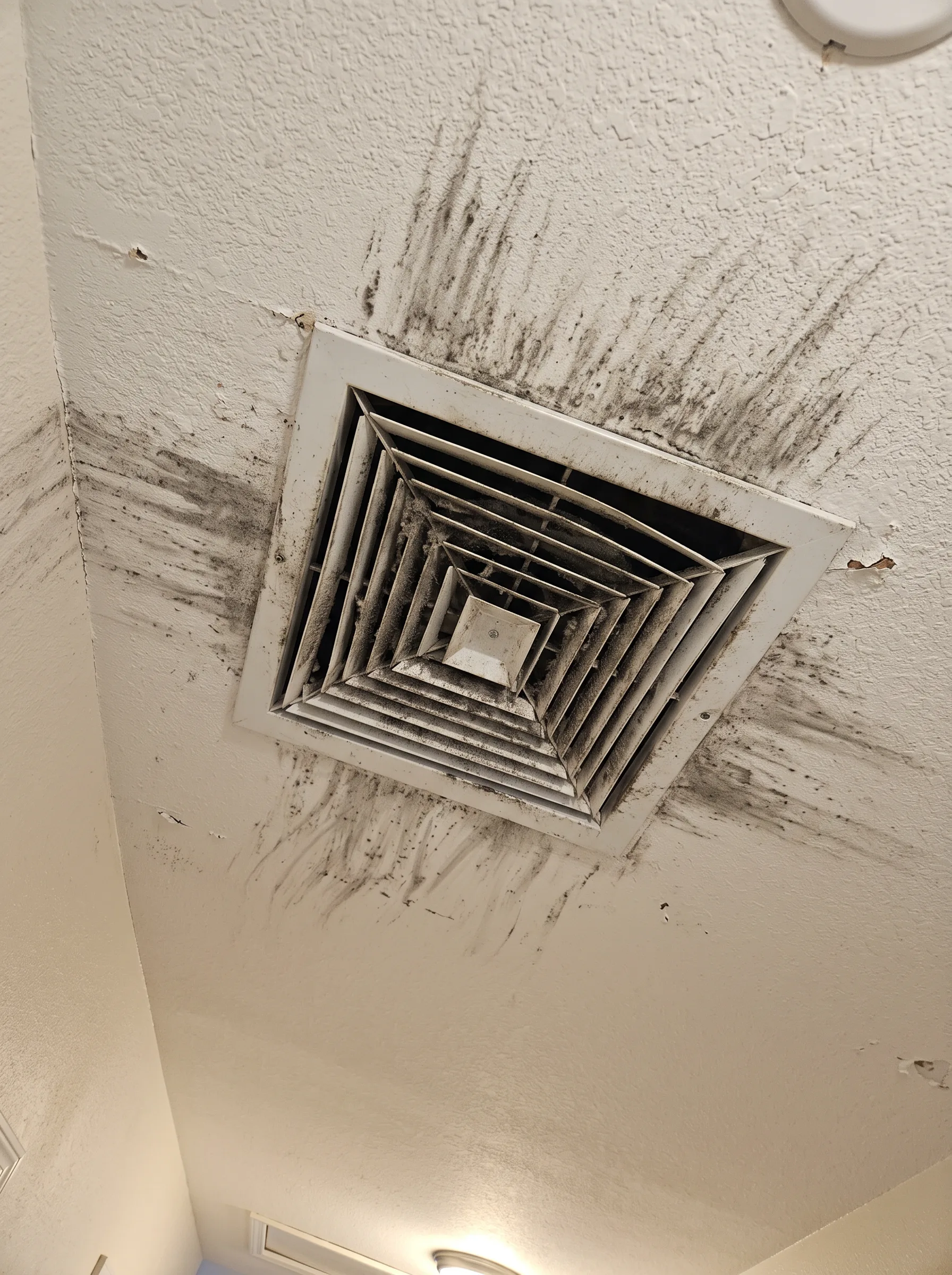 Air duct cleaning result #9 — before cleaning